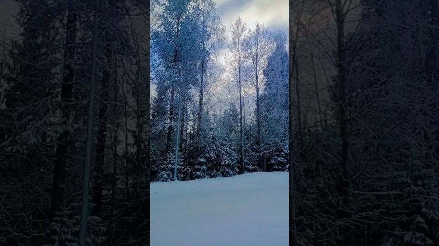 Suomea kun on talvi #shorts #finland #nature